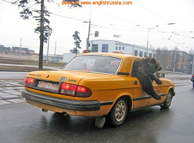 Name:  453..jpg
Views: 291
Size:  79.8 KB