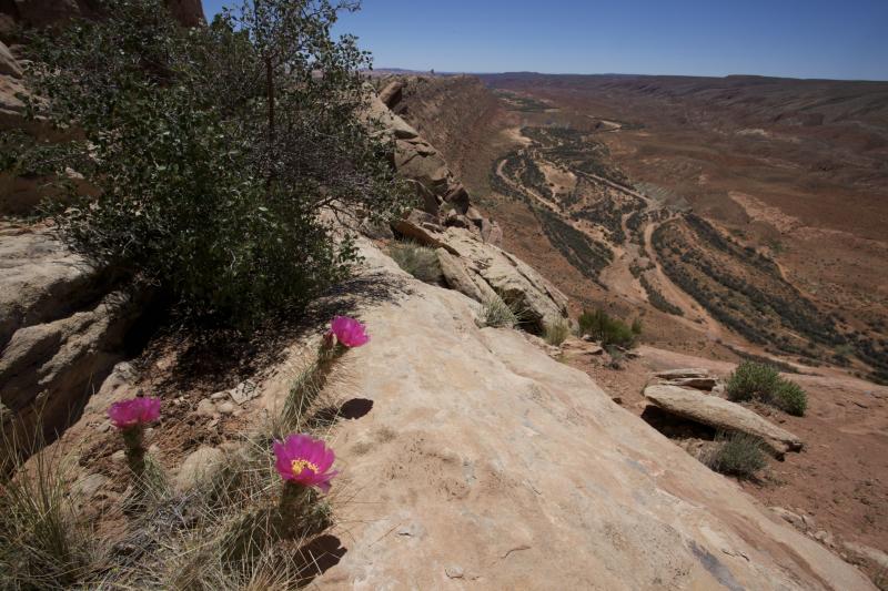Name:  05302010_Bluff_Mon.jpg
Views: 1843
Size:  86.6 KB