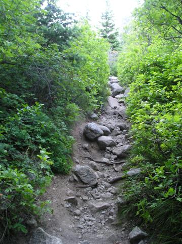Name:  Bells Canyon Trai&.jpg
Views: 2782
Size:  55.2 KB