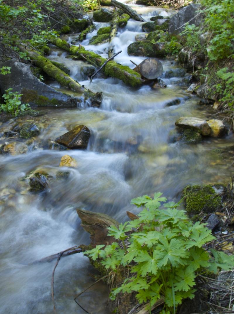 Name:  06262010_MtRaymond.jpg
Views: 1548
Size:  127.1 KB