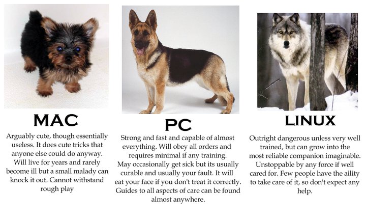 Name:  dog..jpg
Views: 689
Size:  73.6 KB