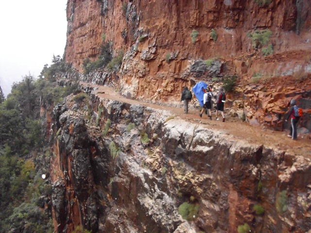 Name:  Canyon..JPG
Views: 1002
Size:  149.6 KB