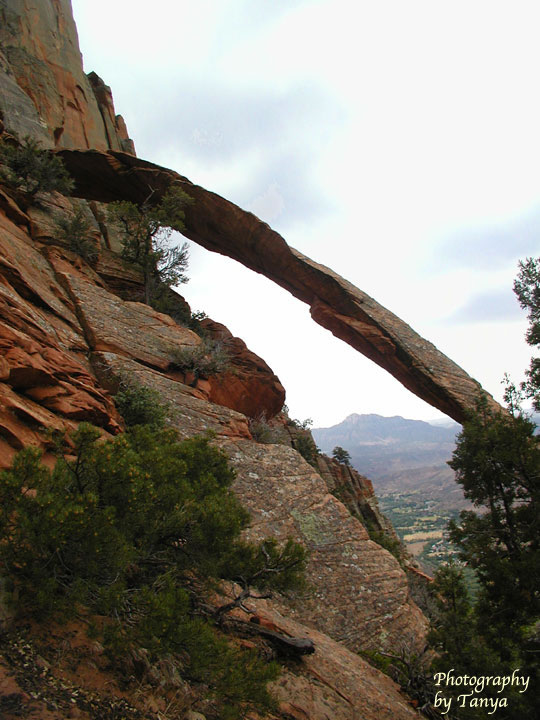 Name:  crawford-arch-f_.jpg
Views: 501
Size:  96.7 KB