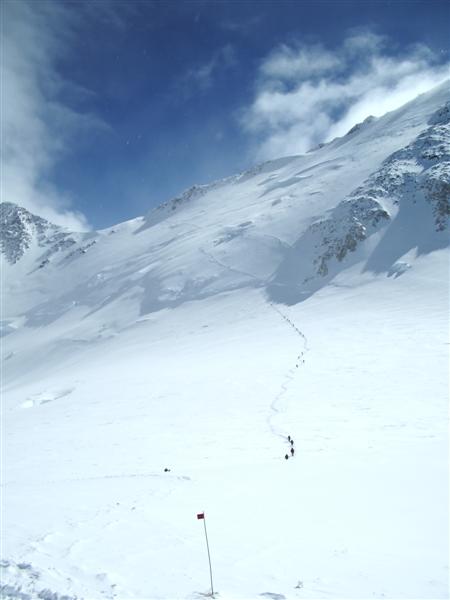 Name:  IMGP0127 (Medium)..JPG
Views: 974
Size:  29.2 KB