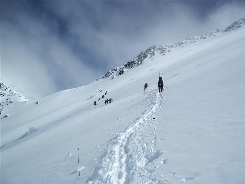 Name:  IMGP0129 (Medium)..JPG
Views: 1182
Size:  44.4 KB