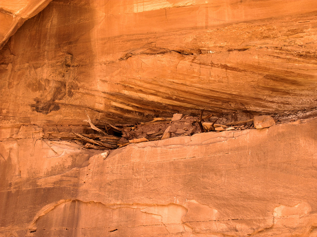 Name:  4591627137_f0771fa&#53.jpg
Views: 774
Size:  218.2 KB