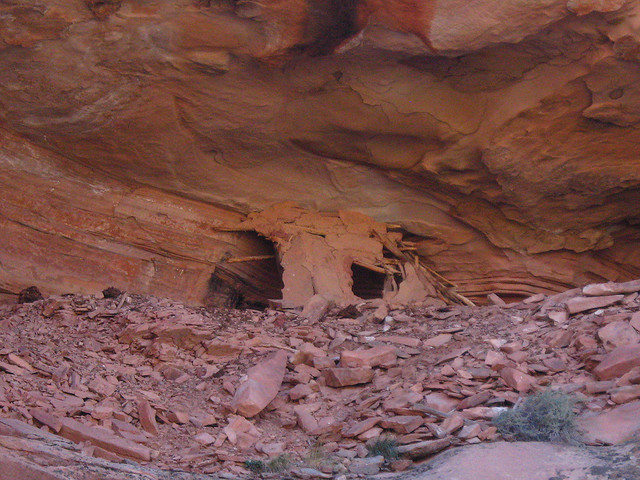 Name:  4081396459_17cde03&#10.jpg
Views: 649
Size:  137.5 KB