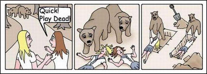 Name:  funny_collection&#9.jpg
Views: 669
Size:  43.6 KB