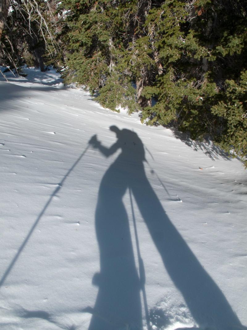 Name:  02132011_WhitePin&#101.jpg
Views: 798
Size:  121.3 KB