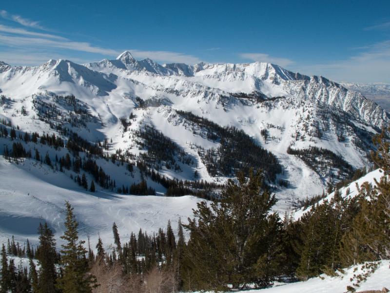 Name:  02132011_WhitePin&#101.jpg
Views: 841
Size:  89.4 KB