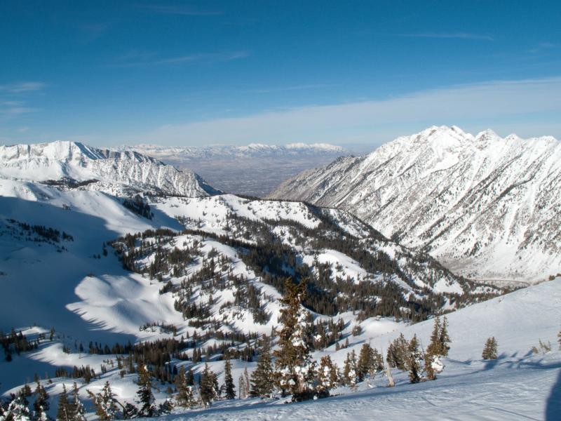 Name:  02132011_WhitePin&#101.jpg
Views: 968
Size:  84.9 KB