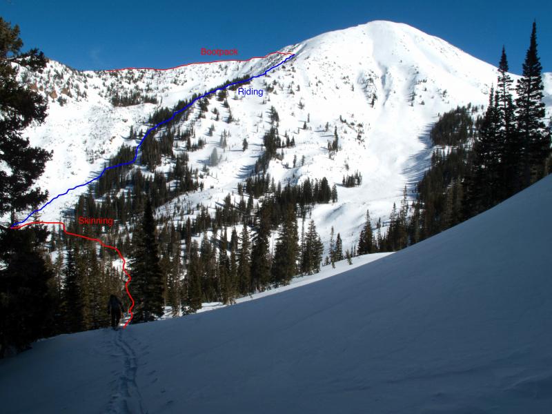 Name:  02132011_WhitePin&#101.jpg
Views: 677
Size:  76.0 KB
