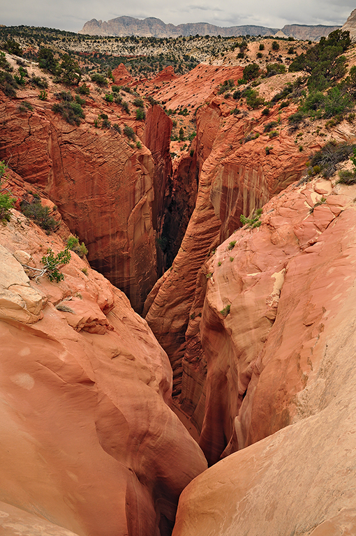 Name:  Red Slot - Slot o&#.jpg
Views: 422
Size:  560.3 KB