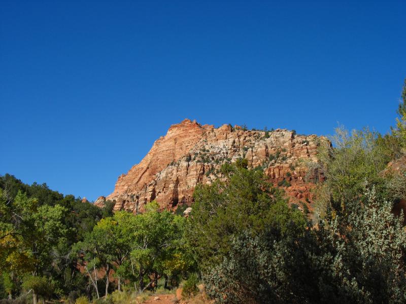 Name:  IMG_7277..jpg
Views: 423
Size:  79.5 KB