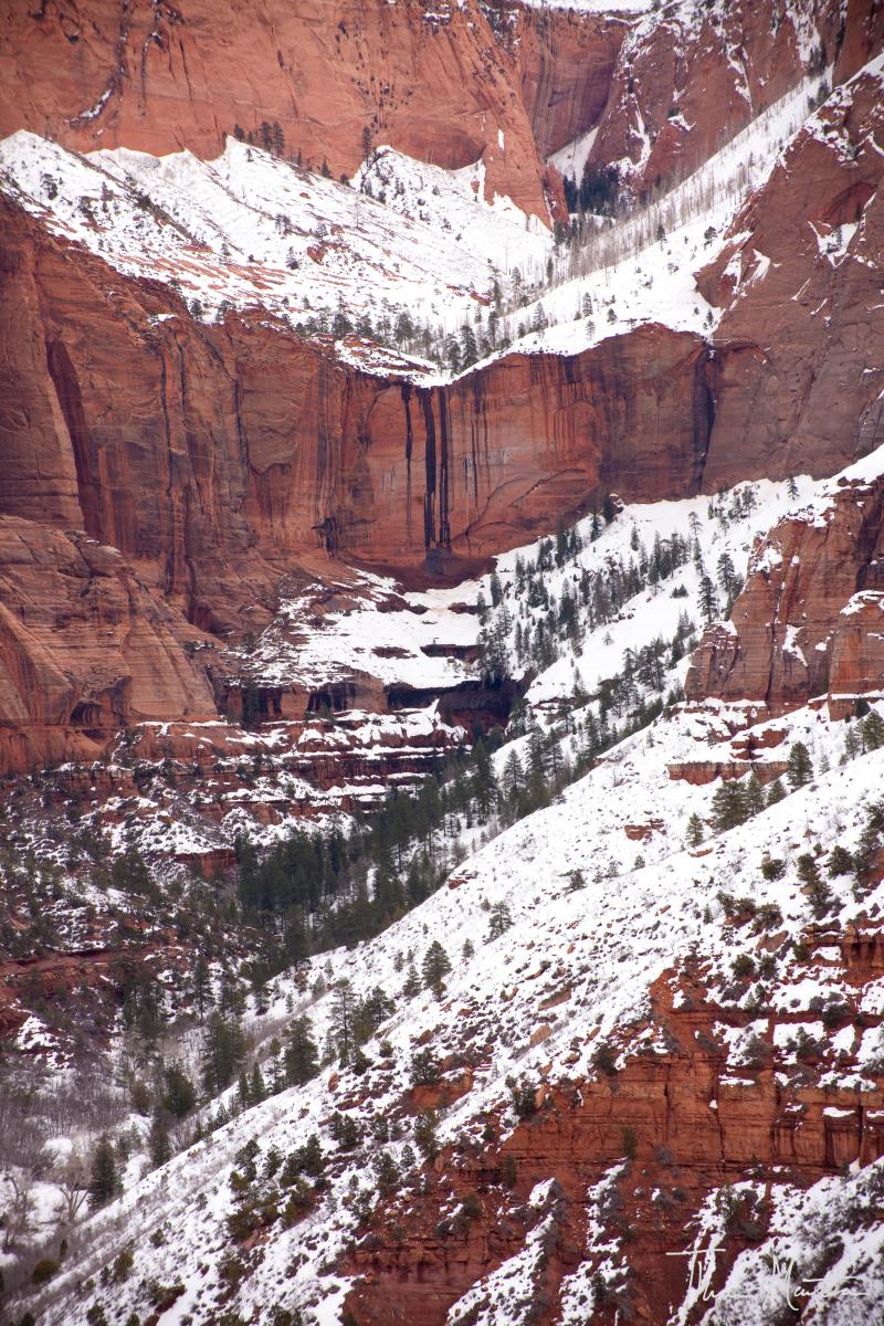 Name:  032011_SouthernUt&#9.jpg
Views: 861
Size:  259.0 KB