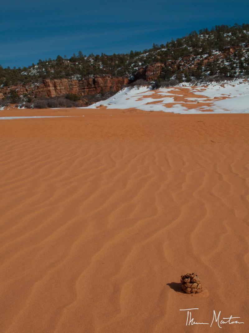 Name:  032011_SouthernUt&#9.jpg
Views: 888
Size:  81.6 KB