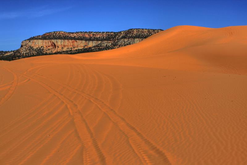 Name:  dune..jpg
Views: 8681
Size:  34.7 KB