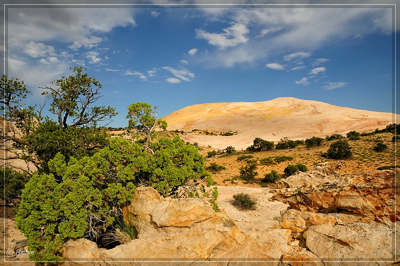 Name:  comp_05YellowRock&.jpg
Views: 655
Size:  432.3 KB