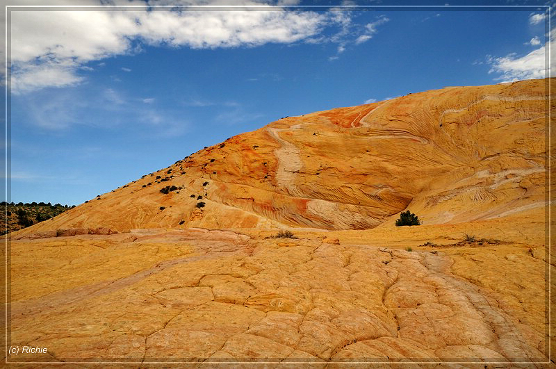 Name:  comp_38Yellowrock.jpg
Views: 855
Size:  349.4 KB