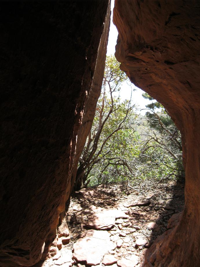 Name:  2011 may zionvega&#.jpg
Views: 922
Size:  123.4 KB