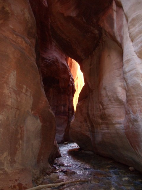 Name:  284263_101503892411&.jpg
Views: 1969
Size:  51.2 KB