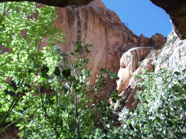 Name:  284554_101503892405&.jpg
Views: 1957
Size:  105.7 KB