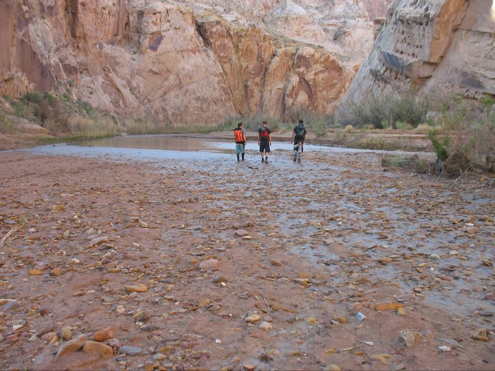 Name:  227571_101502691969&.jpg
Views: 475
Size:  115.0 KB