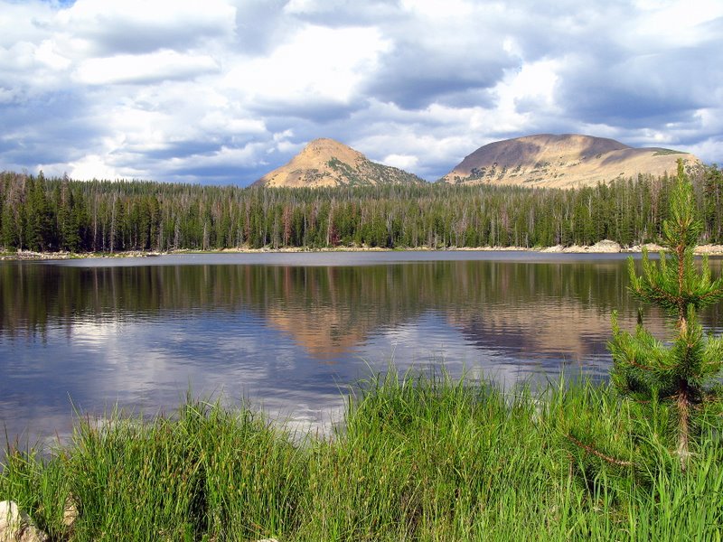 Name:  star lake..jpg
Views: 296
Size:  148.3 KB