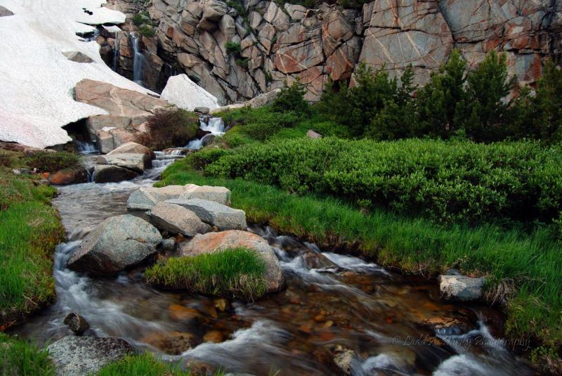 Name:  135_t-river_snow-&.jpg
Views: 3764
Size:  96.0 KB
