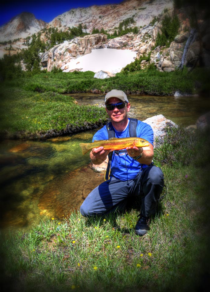 Name:  202_ladd-1st_gold&#.jpg
Views: 3941
Size:  184.5 KB