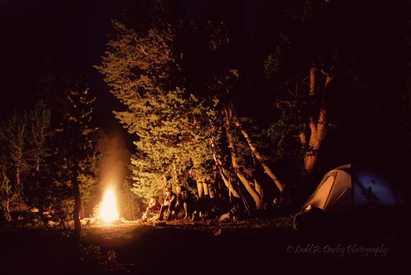 Name:  272_night-fall_on&.jpg
Views: 3650
Size:  52.4 KB