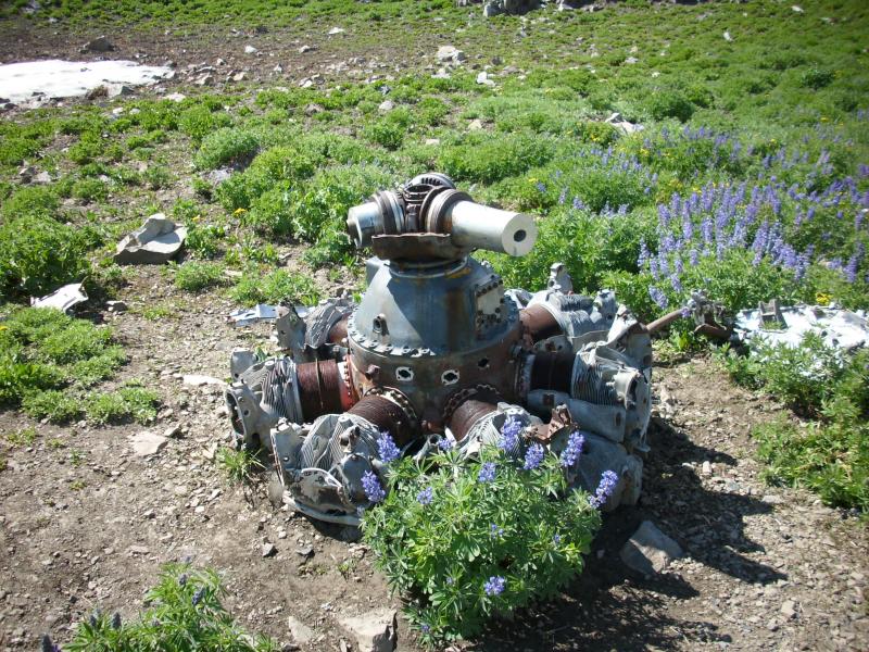 Name:  Debris from old &#112.jpg
Views: 1501
Size:  154.0 KB