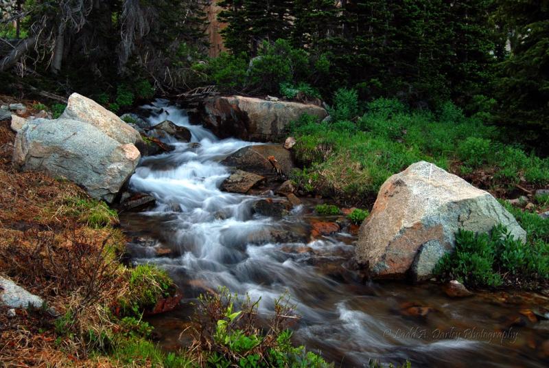 Name:  127_t-river_small&.jpg
Views: 3414
Size:  98.7 KB