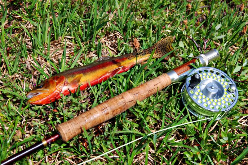 Name:  230_golden-trout_.jpg
Views: 3523
Size:  150.0 KB