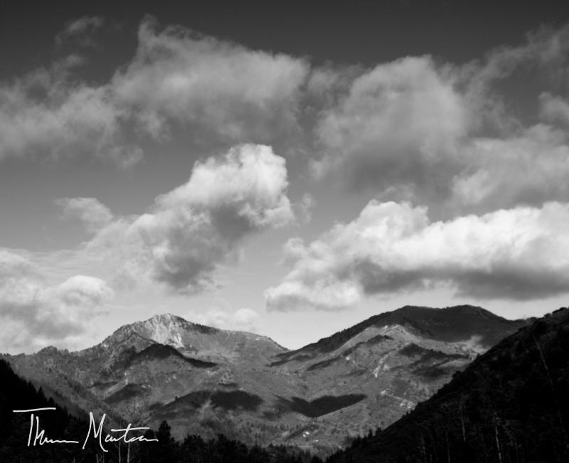 Name:  BigCottonwoodCan&#12.jpg
Views: 341
Size:  44.8 KB