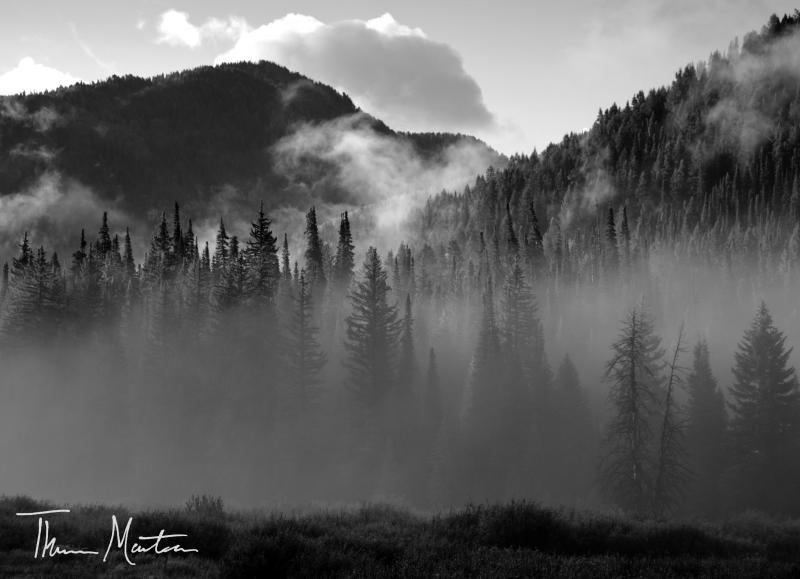 Name:  BigCottonwoodCan&#12.jpg
Views: 351
Size:  44.9 KB