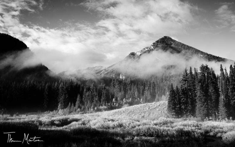 Name:  BigCottonwoodCan&#12.jpg
Views: 351
Size:  60.6 KB