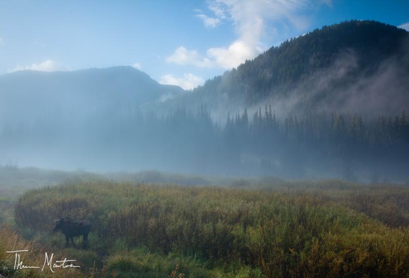 Name:  BigCottonwoodCan&#12.jpg
Views: 343
Size:  38.3 KB