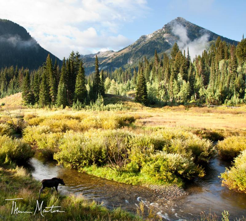 Name:  BigCottonwoodCan&#12.jpg
Views: 493
Size:  140.5 KB