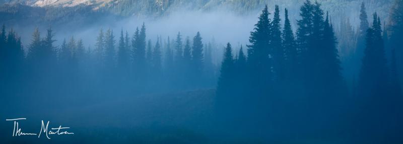 Name:  BigCottonwoodCan&#12.jpg
Views: 346
Size:  17.0 KB