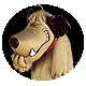 Name:  4..gif
Views: 435
Size:  9.3 KB