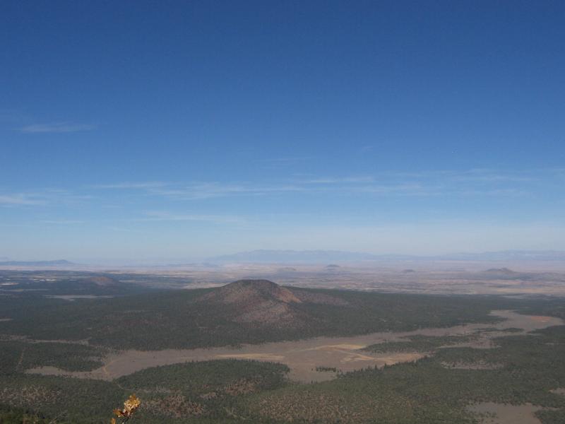 Name:  top of trumbull &#40.jpg
Views: 1353
Size:  32.2 KB
