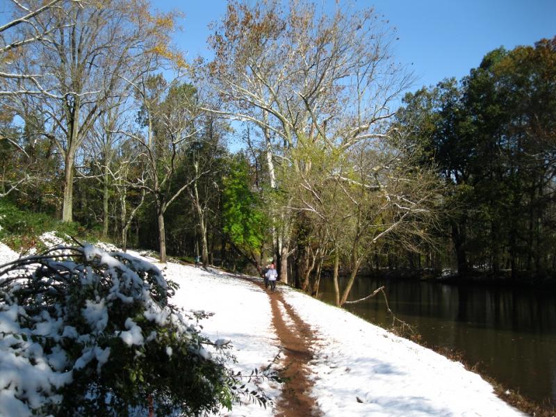 Name:  4 along the skip&#112.jpg
Views: 161
Size:  115.1 KB