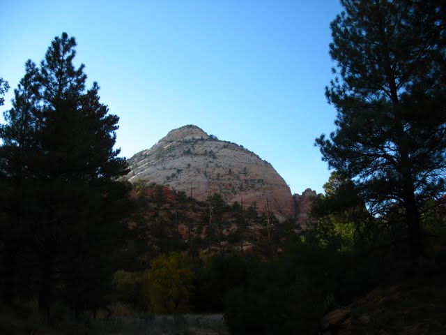 Name:  IMG_7326..JPG
Views: 560
Size:  46.7 KB