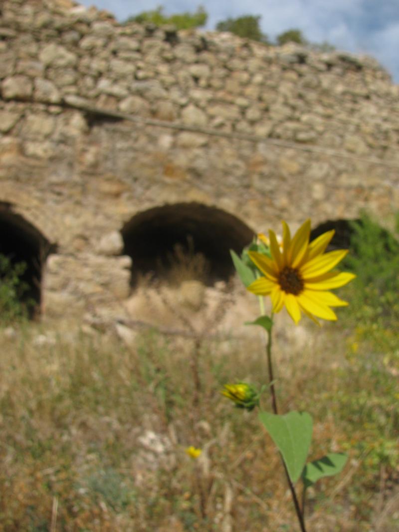 Name:  IMG_9013..jpg
Views: 335
Size:  77.5 KB