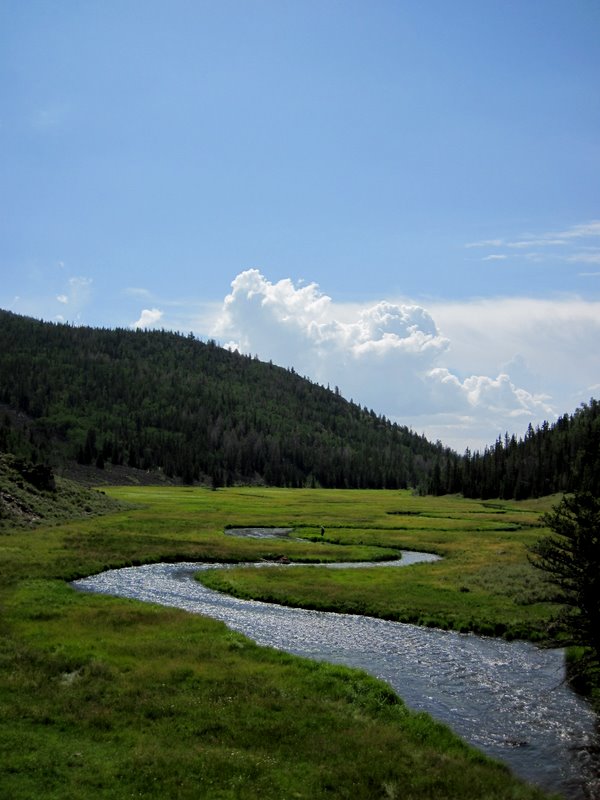 Name:  IMG_2042..JPG
Views: 287
Size:  74.4 KB