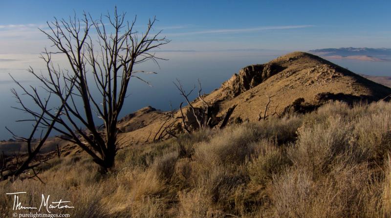 Name:  AntelopeIsland_F&#114.jpg
Views: 555
Size:  69.7 KB
