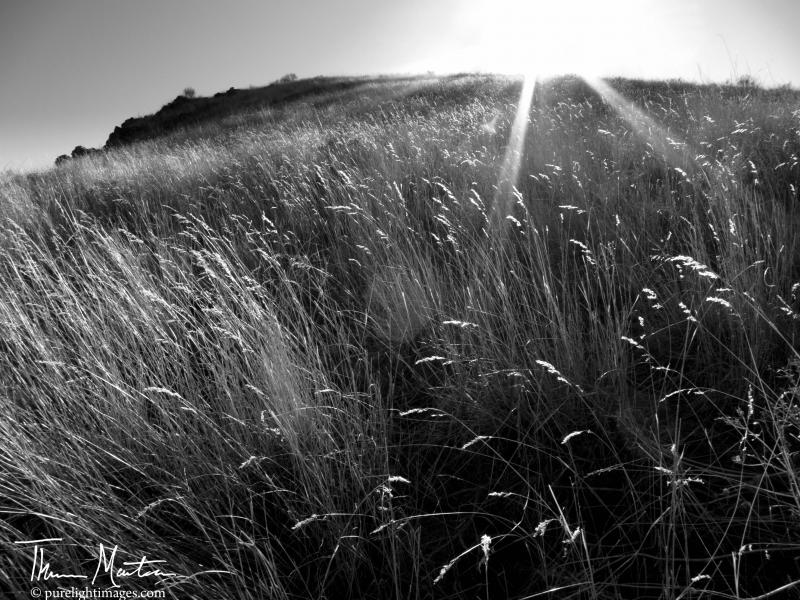 Name:  AntelopeIsland_F&#114.jpg
Views: 534
Size:  111.1 KB