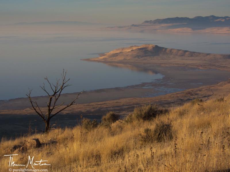 Name:  AntelopeIsland_F&#114.jpg
Views: 538
Size:  55.7 KB