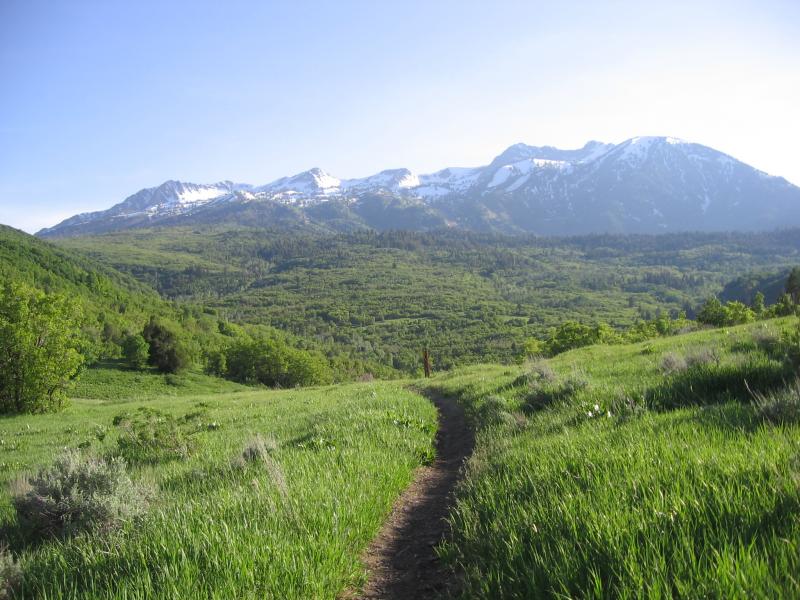 Name:  Maples Loop (23)..jpg
Views: 400
Size:  87.9 KB
